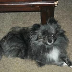 Meet your Posher, Debra